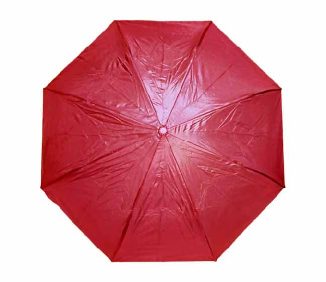 Bramley Umbrella · Product view