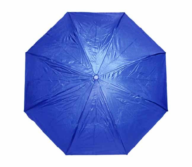 Bramley Umbrella · Product view
