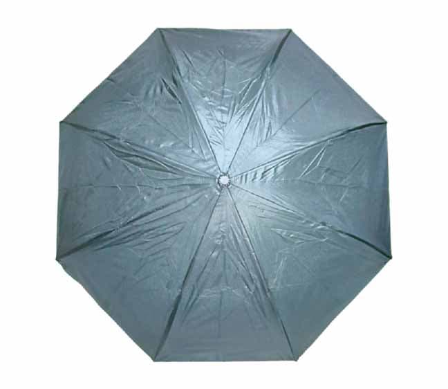 Bramley Umbrella · Product view