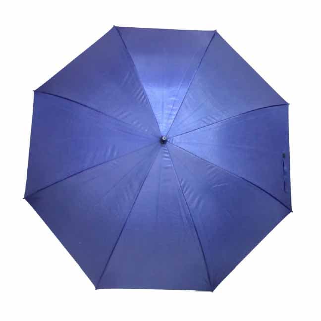 Whitmore Umbrella · Product view