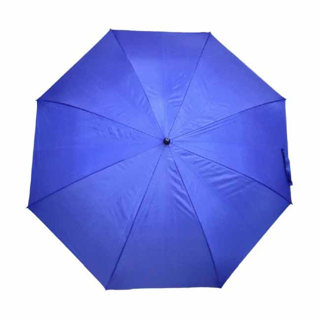 Whitmore Umbrella · Product view