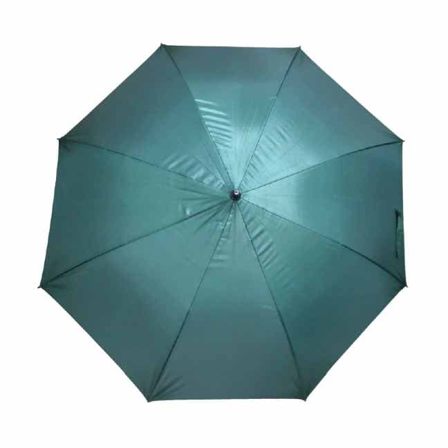 Whitmore Umbrella · Product view