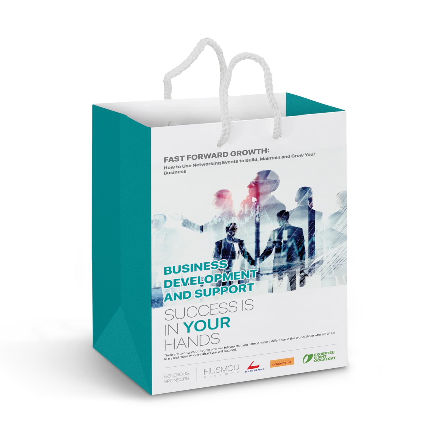 Medium Laminated Paper Carry Bag Full Colour · Product view