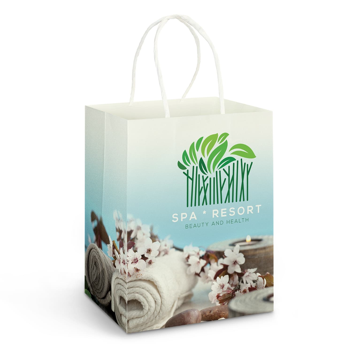 Large Paper Carry Bag Full Colour · Product view